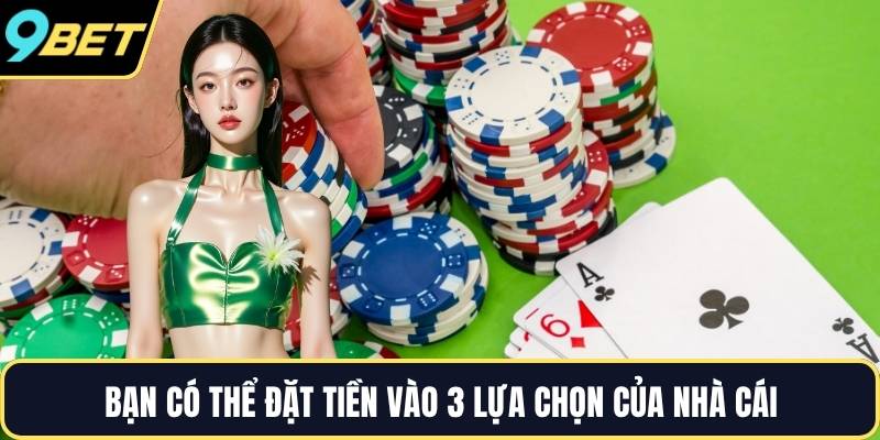 Bạn có thể đặt tiền vào 3 lựa chọn của nhà cái