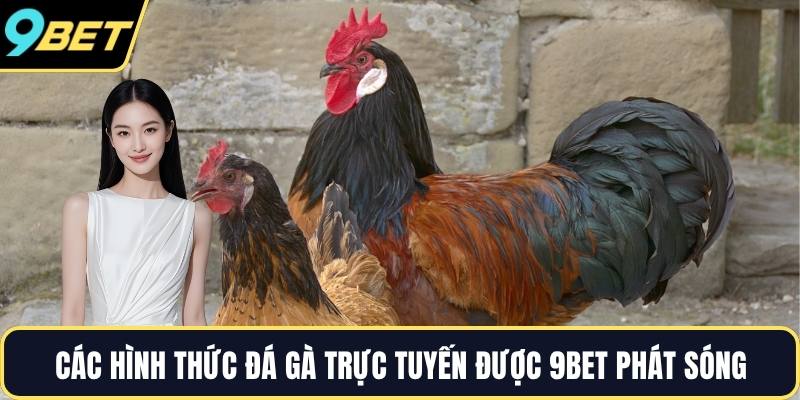 Các hình thức đá gà trực tuyến được 9BET phát sóng
