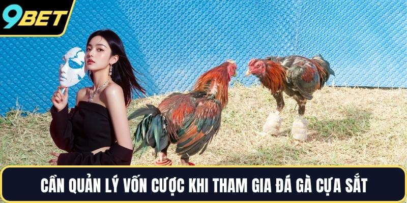 Cần quản lý vốn cược khi tham gia đá gà cựa sắt