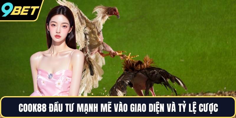 Cook88 đầu tư mạnh mẽ vào giao diện và tỷ lệ cược