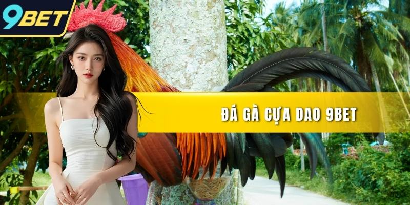 Đá gà cựa dao