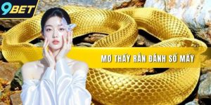 Mơ thấy rắn đánh số mấy
