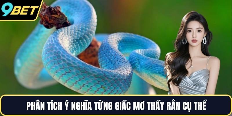 Phân tích ý nghĩa từng giấc mơ thấy rắn cụ thể