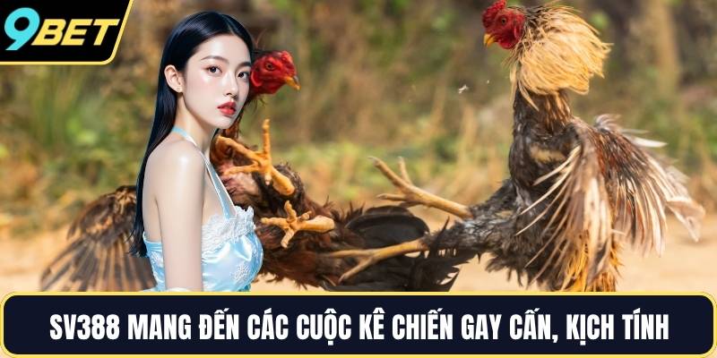 SV388 mang đến các cuộc kê chiến gay cấn, kịch tính